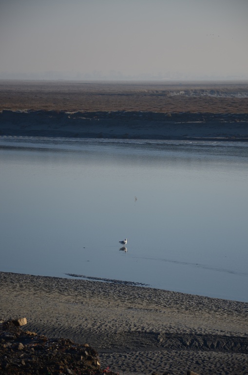 2016-12 France/Mont St Michel/DSC_0005.JPG